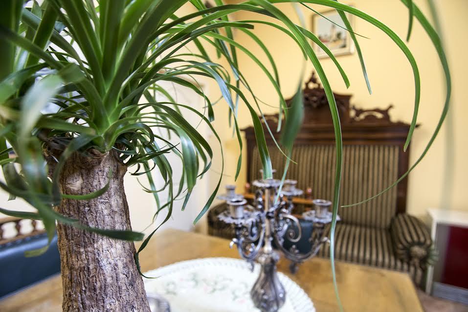 נובי סאד Luna Apartment מראה חיצוני תמונה